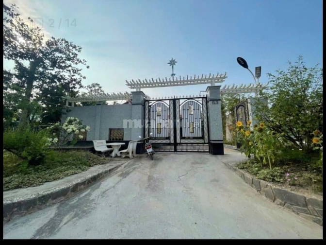 THÔNG BÁO ĐẤU GIÁ TÀI SẢN THEO THỦ TỤC RÚT GỌN