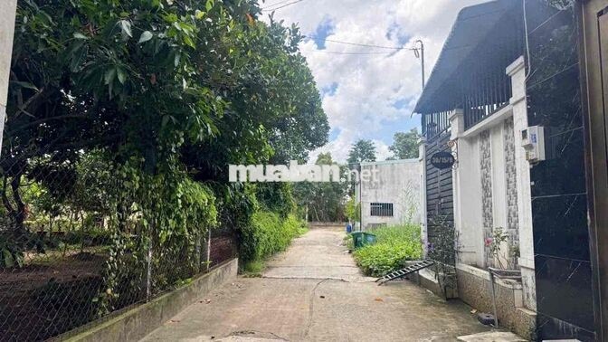CHO THUÊ NHÀ NGUYÊN CĂN CHS1 TX52 FULL NỘI THẤT 7 TRIỆU CÓ BỚT