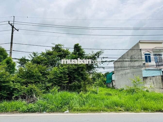 Bán nhanh mặt tiền KD 250m2 ngay X.Tân An Hội Củ Chi Giá chỉ 975 triệu