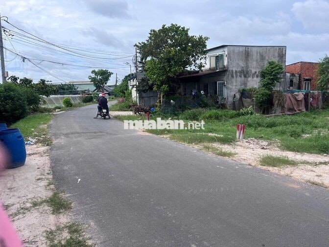 Bán Đất 188m2 Đ. Liêu Bình Hương, Tân Thông Hội, SHR, Giá 700 triệu.