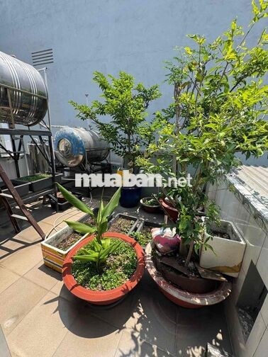 Tân kỳ tân quý 76m2(4x19), 4 tâng, Giá 6.5 tỷ