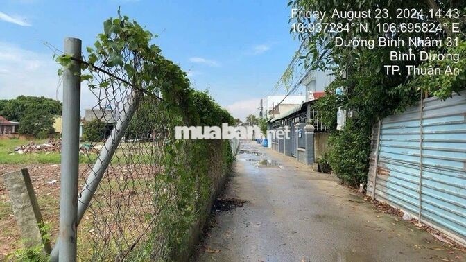 BÁN LÔ ĐẤT TO CHÀ BÁ 5*46 VUÔNG VỨC ĐƯỜNG BINH NHÂM 31 TIỆN XÂY TỰ DO