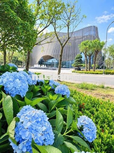 Sở hữu nhà phố, shophouse cao cấp dự án One Era chỉ từ 1,3 tỷ 