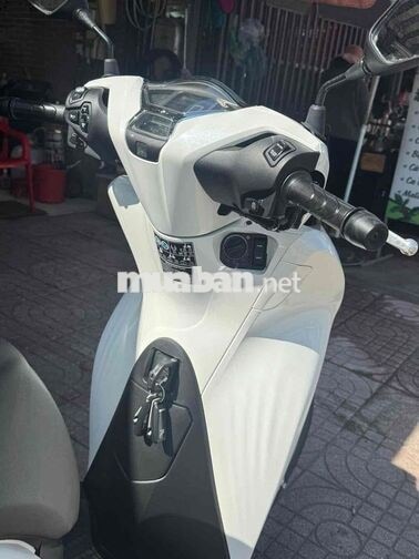 Honda SHVN 125 2021 Trắng Tự động 1343 km