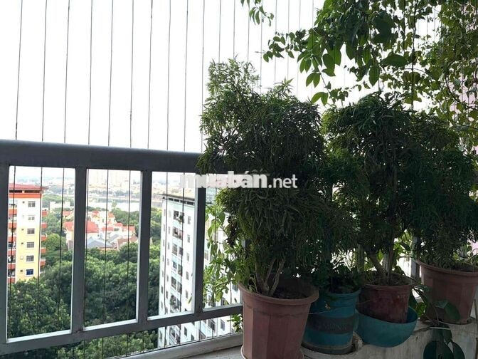 Siêu phẩm ! Căn CC mặt phố Nam Sơn, bán đảo Linh Đàm-Sổ đỏ 95m;3N;2VS