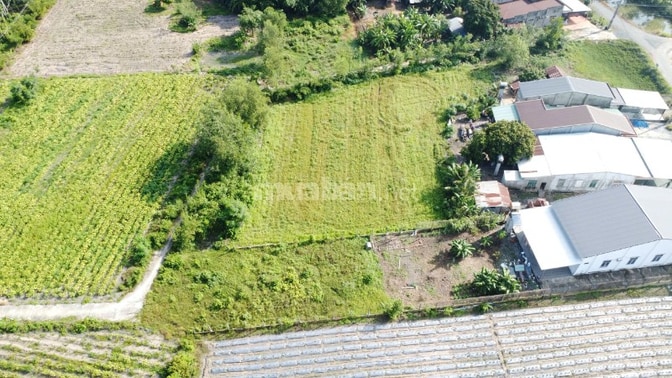 6x40 đường bê tông ô tô thông. Cách nhựa 70m. 299tr.