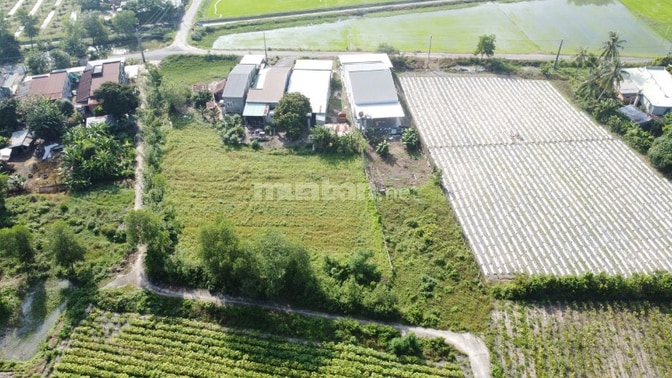 6x40 đường bê tông ô tô thông. Cách nhựa 70m. 299tr.