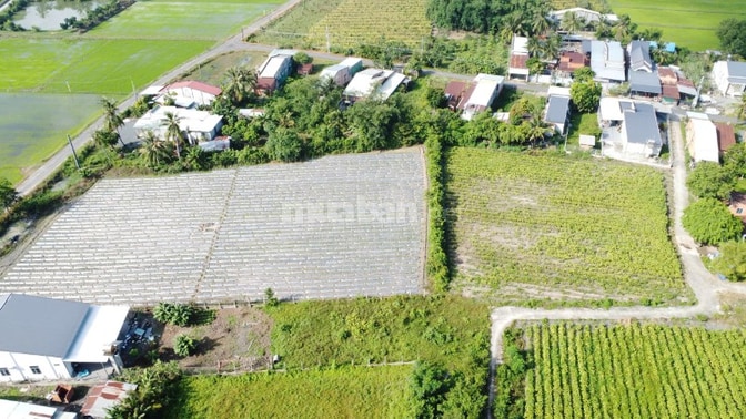 6x40 đường bê tông ô tô thông. Cách nhựa 70m. 299tr.