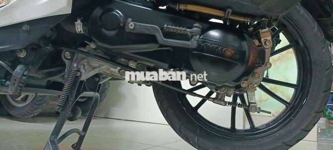 Kymco Candy Hi Trắng