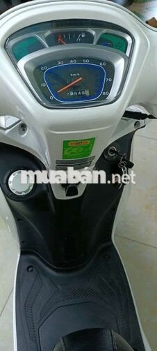 Kymco Candy Hi Trắng
