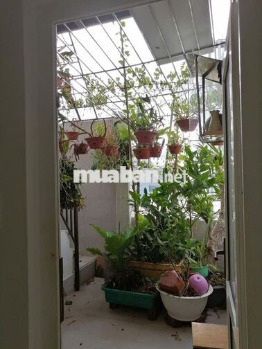 Nhà kiệt Lê Duẩn ủy ban Tân Chính cũ