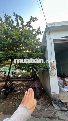 173M2(6.3 x30) FULL THỔ CƯ - KÊNH THAM LƯƠNG - TỈNH LỘ 10 - BÌNH TÂN