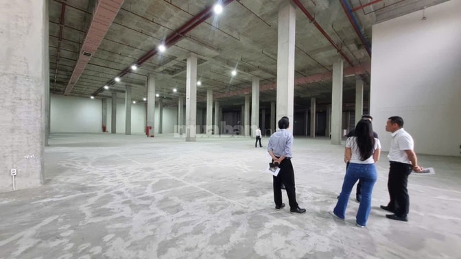 Cho thuê kho 5000m2 KCN Tân Phú Trung Củ Chi giá từ 5.5 đến 6.2 USD/m2