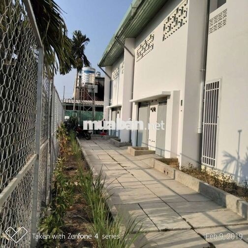 chính chủ cho thuê nhà P. An Phú Đông, sau đại học Nguyễn Tất Thành