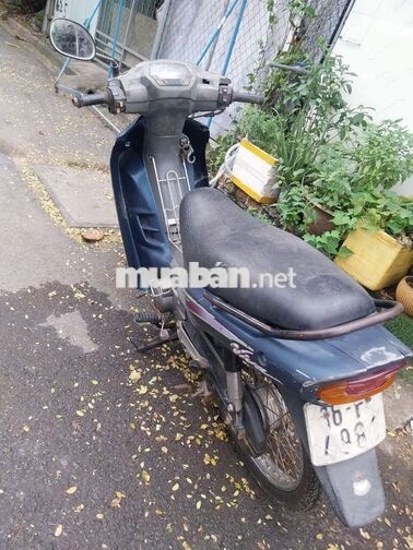 Suzuki Viva Xanh Xe số
