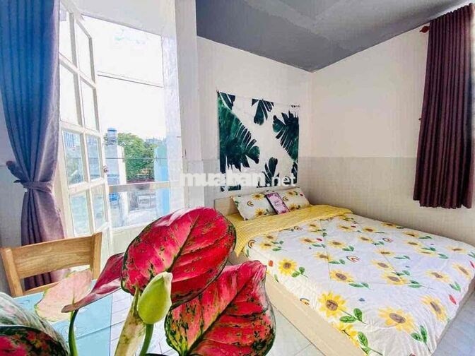 Studio 25m2 đầy đủ nội thất, ban cong, cửa sổ. Gần Bùi Viện, Lancaster