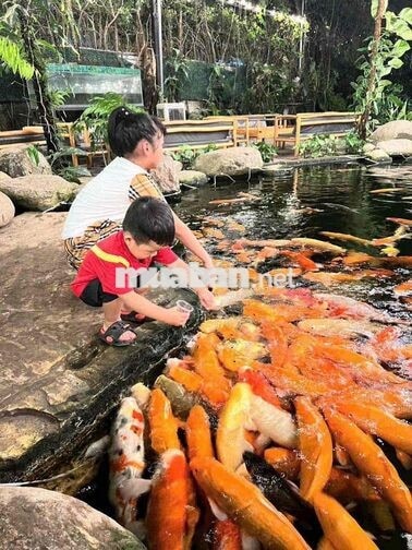 Cho thuê quán cà phê cá coi phường thống nhất