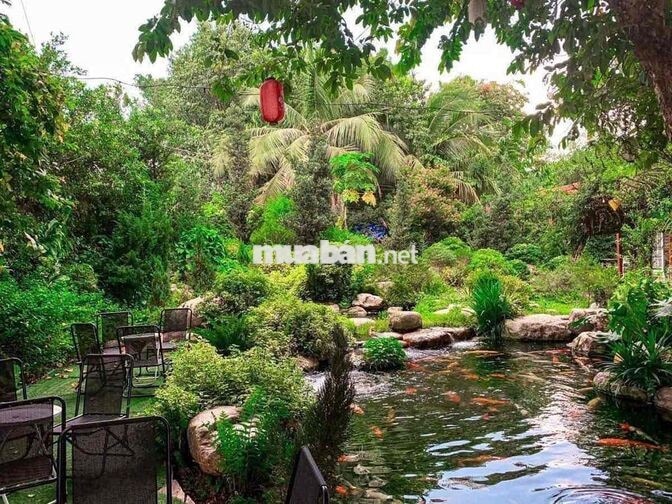 Cho thuê quán cà phê cá coi phường thống nhất