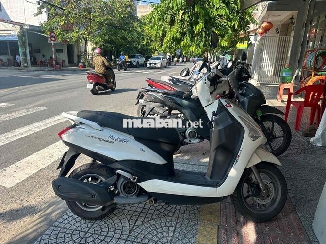 Xe tay ga Acruzo Trắng Việt Nam
