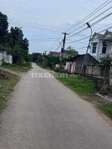 Chính chủ bán nền đất thổ cư gần UBND xã Hợp Lý, Triệu Sơn: 6.1mx40m