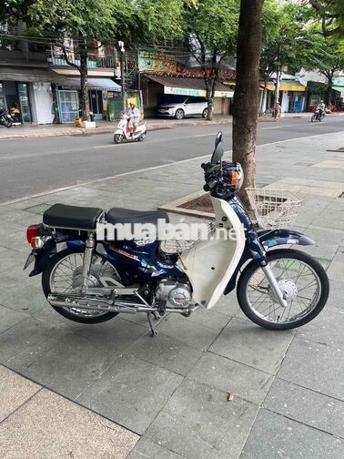 Daelim Savina Cub 50cc 2020 Xanh trắng
