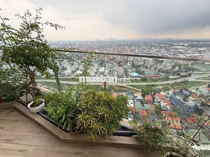 BÁN CĂN HỘ 3 PHÒNG NGỦ SOLFOREST-ECOPARK