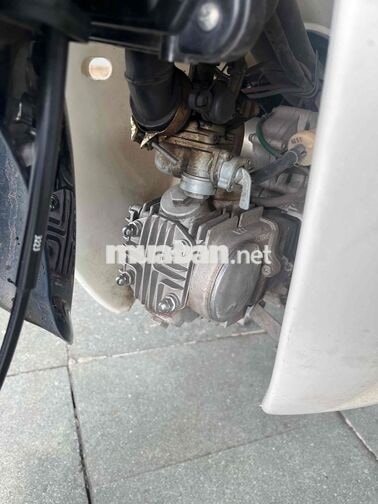 Daelim Savina Cub 50cc 2020 Xanh trắng