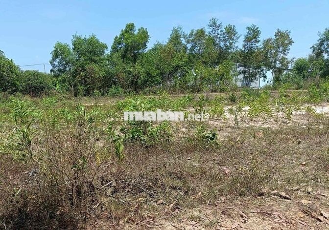 Đất nền chính chủ cần bán full thổ cư - Dương Minh Châu Dt 86m2 Full t