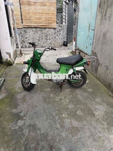 Honda Chaly Xanh lá