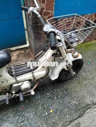 Honda Chaly 1980 Trắng