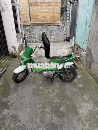 Honda Chaly Xanh lá