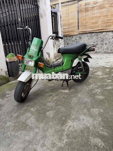 Honda Chaly Xanh lá