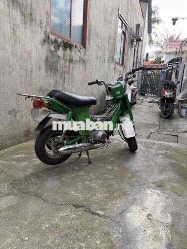 Honda Chaly Xanh lá