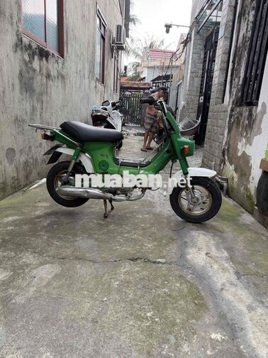 Honda Chaly Xanh lá