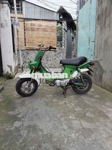 Honda Chaly Xanh lá