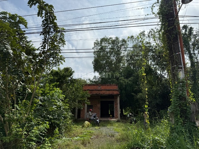 Bán đất lộc hoà, phường an tịnh