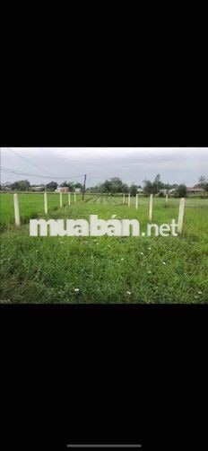 Chính chủ hạ giá bán đất full thổ cư