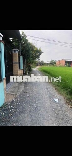 Chính chủ hạ giá bán đất full thổ cư