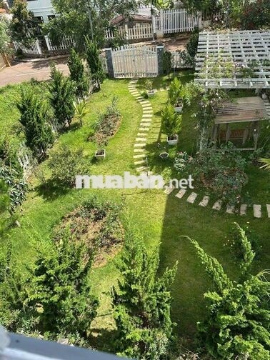 Cần cho thuê các căn hộ dịch vụ từ 25m2 - 40m2