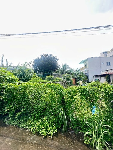 bán đất vuông đẹp 11.5x12 cách quốc lộ 50m giá rẻ hòa lợi 