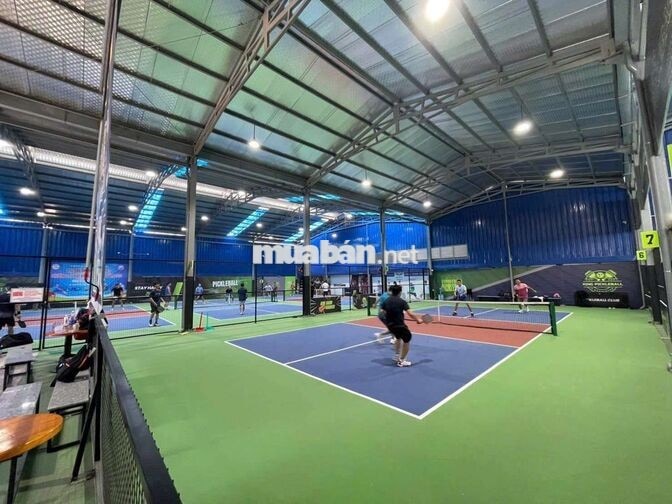 CLB Pickleball and Cầu Lông, tại Đường Thống Nhất, Gò Vấp