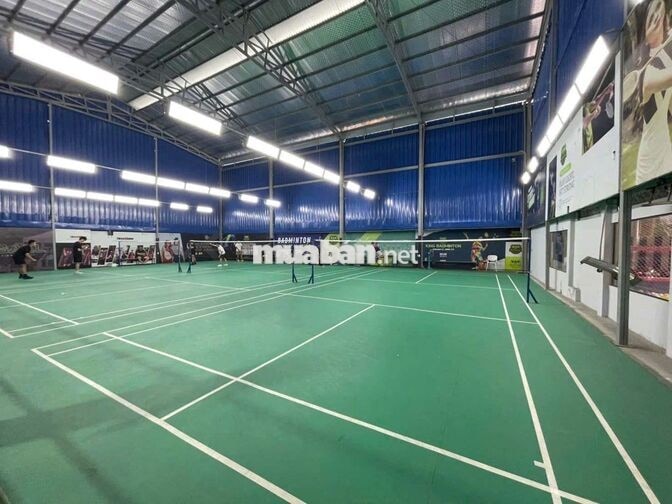 CLB Pickleball and Cầu Lông, tại Đường Thống Nhất, Gò Vấp