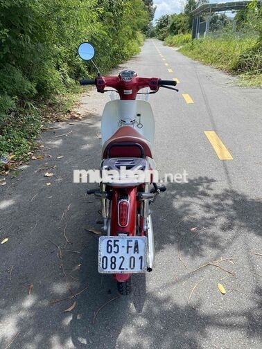 Cub led Đỏ Zin