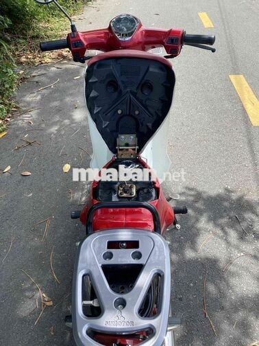 Cub led Đỏ Zin