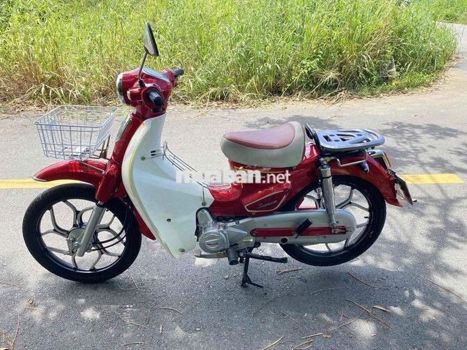 Cub led Đỏ Zin