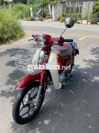 Cub led Đỏ Zin