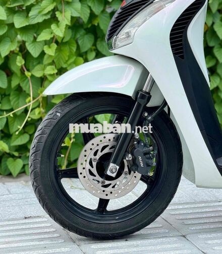 Honda SH Ý 150i 2011 Trắng