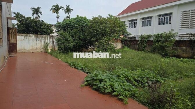 🏠 Cho thuê nhà gần 500m² tại Tăng Bạt Hổ – Phù hợp ở và kinh doanh