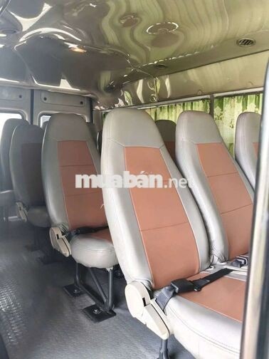 Ford Transit 2020 16 chỗ Ghi vàng