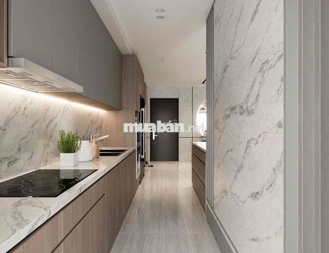 CHO THUÊ CĂN HỘ 2PN VINHOMES CENTRAL PARK ( hình minh hoạ)